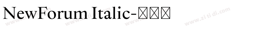 NewForum Italic字体转换